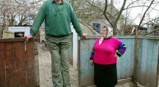 Картинка по теме - как перевести миллиметры в сантиметры