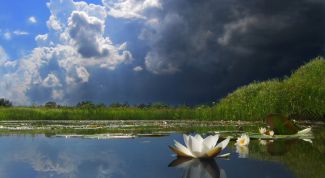 Картинка по теме - как очистить озеро