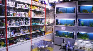 Картинка по теме - как открыть магазин зоотоваров