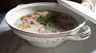 Картинка по теме - как приготовить суп-пюре из грибов