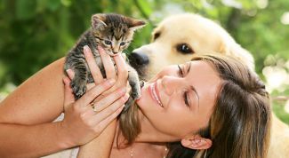 Картинка по теме - как защитить животных