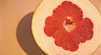 Картинка по теме - как выбрать памело