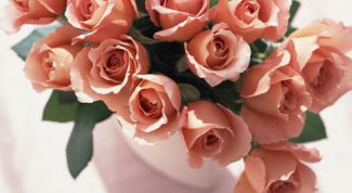 Картинка по теме - как сохранить черенки роз