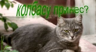 Картинка по теме - как написать текст на рисунке