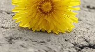 Картинка по теме - как сделать одуванчик из бумаги