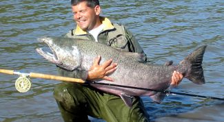 Картинка по теме - как сделать удочку дальнего заброса