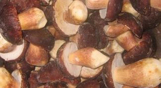 Картинка по теме - как варить свежие грибы