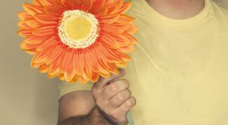 Картинка по теме - как намекнуть парню на цветы