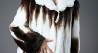 Картинка по теме - как отличить мех бобра от кролика