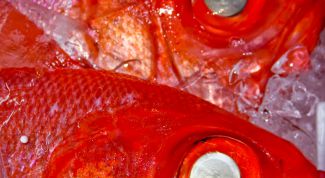 Картинка по теме - как хранить соленую рыбу