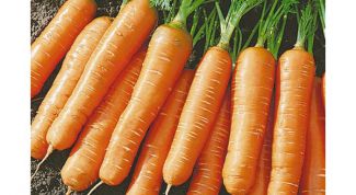 Картинка по теме - как сохранить морковь зимой