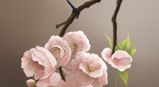 Картинка по теме - как нарисовать синичку