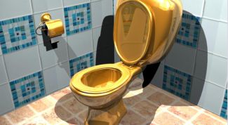 Картинка по теме - как прочистить туалет