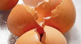 Картинка по теме - как принимать скорлупу от яиц