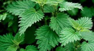 Картинка по теме - как лечить тромбоцитопению