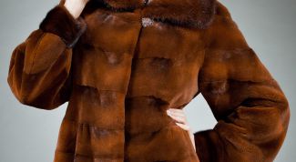 Картинка по теме - как выбрать качественную норку