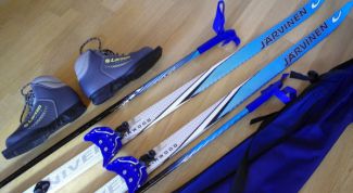 Картинка по теме - как сшить чехол для лыж