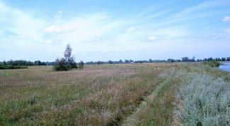 Картинка по теме - как получить землю для фермерского хозяйства