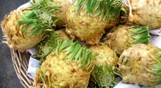 Картинка по теме - как использовать сельдерей