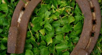 Картинка по теме - как заряжать оберег