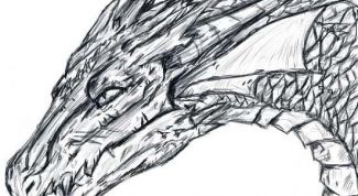 Картинка по теме - как нарисовать голову дракона