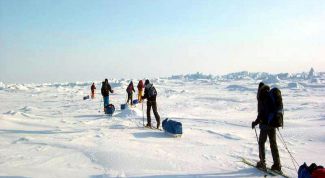 Картинка по теме - как выжить в холоде