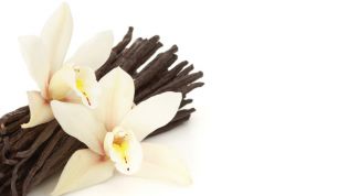 Картинка по теме - как использовать ваниль