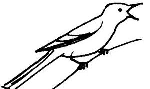 Картинка по теме - как нарисовать соловья