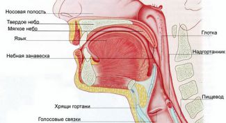 Картинка по теме - как понизить тембр