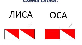 Картинка по теме - как научить делить на слоги