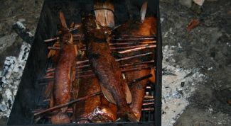 Картинка по теме - как приготовить рыбу на костре