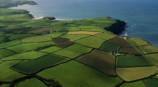 Картинка по теме - как взять участок под строительство