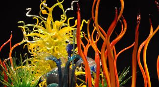 Картинка по теме - как сделать красивый аквариум