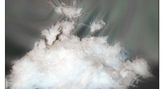 Картинка по теме - как стирать пух и перо