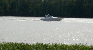 Картинка по теме - как найти скорость против течения