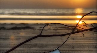 Картинка по теме - как определить жанр стихотворения