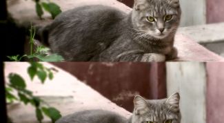 Картинка по теме - как удалить надпись на фото