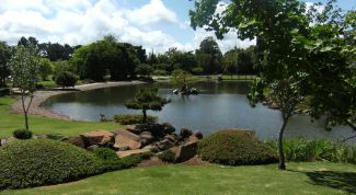 Картинка по теме - как выкопать пруд на даче