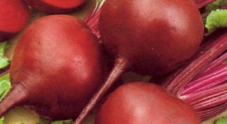 Картинка по теме - как тушить свеклу