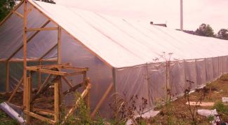 Картинка по теме - как поставить теплицу