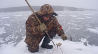 Картинка по теме - как настроить жерлицу