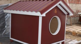 Картинка по теме - как построить для собаки конуру