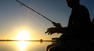 Картинка по теме - как ловить щуку на живца