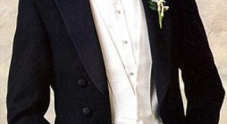 Картинка по теме - как сшить пластрон