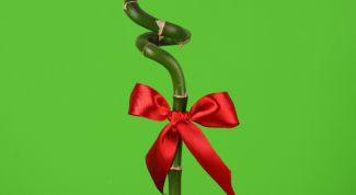 Картинка по теме - как завязывать бантики на подарках