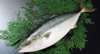 Картинка по теме - как приготовить рыбу пикшу