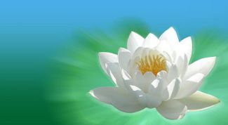 Картинка по теме - как чувствовать энергию