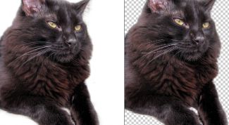 Картинка по теме - как сделать белый фон прозрачным