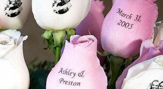 Картинка по теме - как сделать самому рисунки на цветах