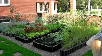 Картинка по теме - как обустроить огород